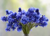 blomsterhandler